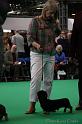 Crufts2011_2 922